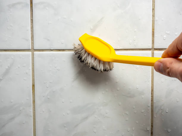 Best Certified Mold Removal  in Waterman, IL