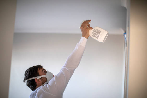 Certified Mold Removal in Waterman, IL