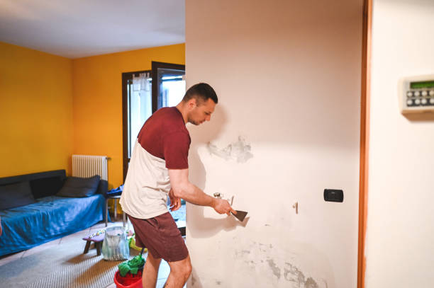 Best Mold Removal Specialists  in Waterman, IL